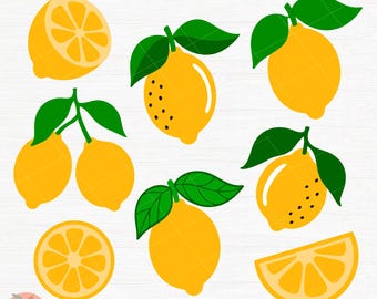 Lemon bundle SVG, lemon slice svg cut file, lemon tree,Amalfi Coast lemon bundle svg png, Farmers Market lemon Design, Trendy Summer Clipart