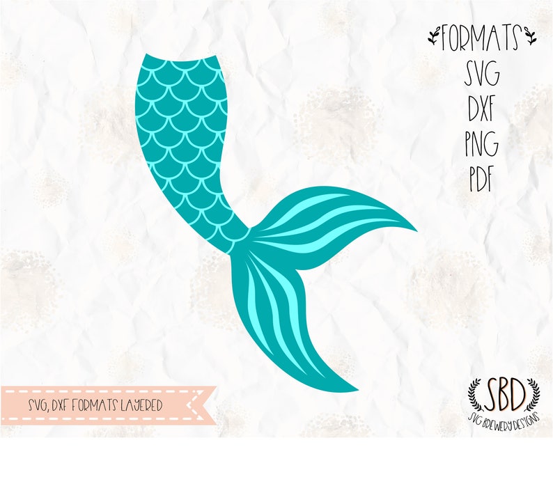 Download Mermaid tail clam shell SVG layered PNG DXF for cricut | Etsy