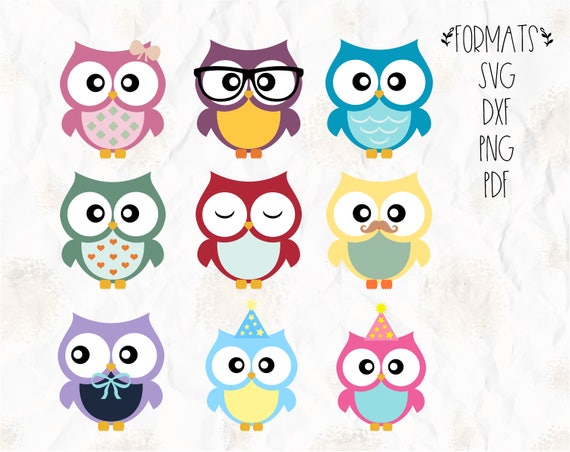 Download Owl Birds Party Theme Svg Layered Png Dxf For Cricut Etsy