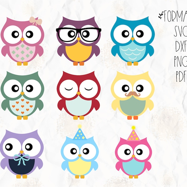 Owl, birds, party theme SVG (layered), PNG, DXF for cricut, silhouette studio, vinyl decal, t shirt design, scrapbooking, cutting machines