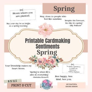 Op de afbeelding: Een bedrukbaar kaartmaak-sentimentenvel met een lentethema. Het ontwerp bevat bloemenillustraties, inspirerende citaten en de tekst "Spring". Het vel meet 20,3 x 29,2 cm en is gelabeld "Print & Cut".