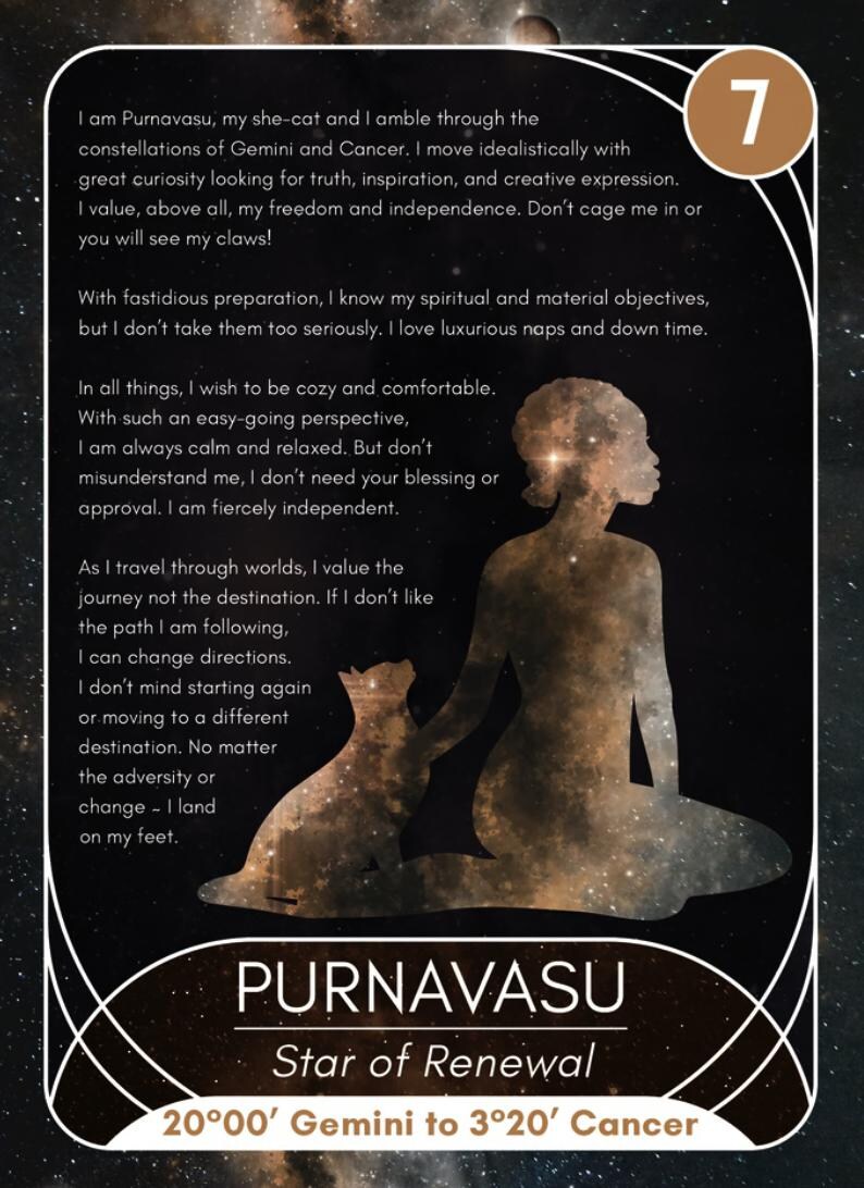 Nakshatra Totem: Animals, Asterisms and Goddesses Oracle Deck image 6