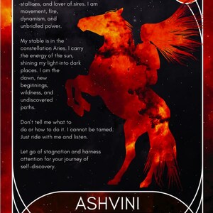 Nakshatra Totem: Animals, Asterisms and Goddesses Oracle Deck image 4