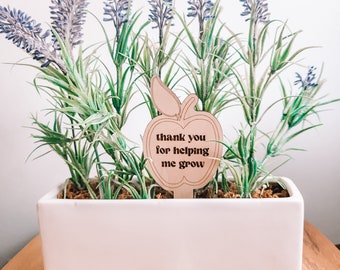 Thank You For Helping Mr Grow| Plant Markers| Teacher Gift| Teacher Appreciation Gifts