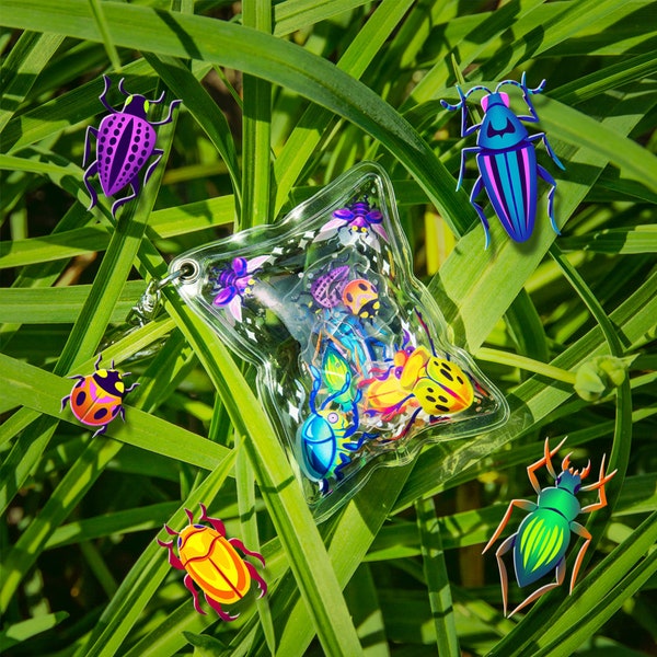 Bag 'O' Beetles Shaker Keychain - 5 Different Acrylic Insects in Transparent Bubble Bag