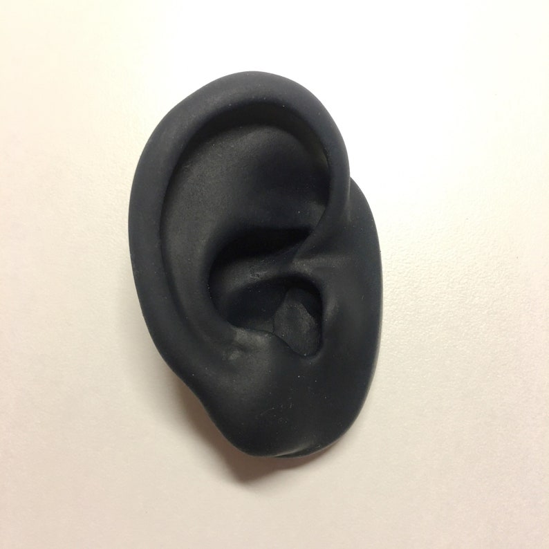 Silicone ear for piercing jewelry demonstration display with Etsy