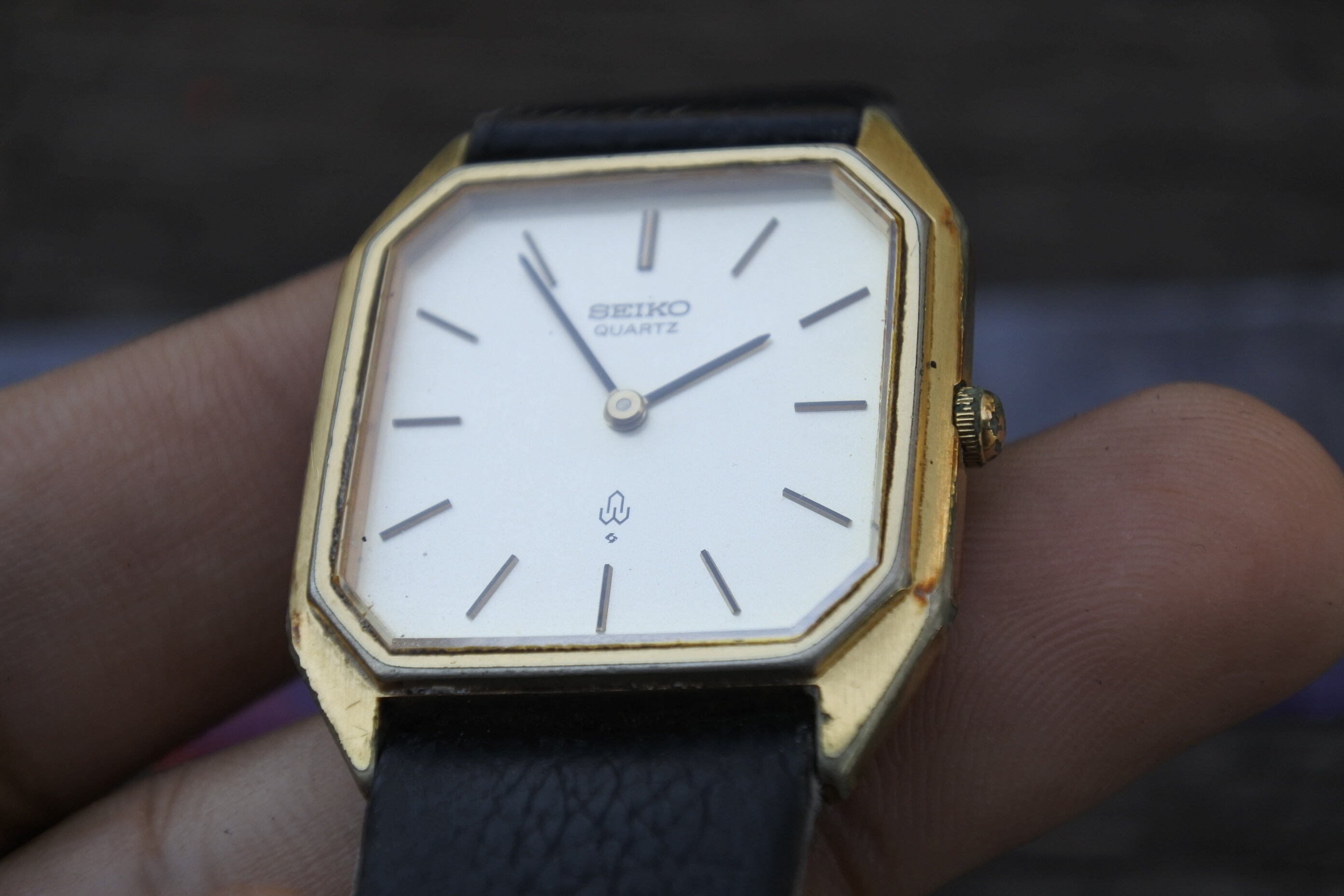 chiko様 CCS 23干支 momoko 卯 wh | PW-momoko | PetWORKs