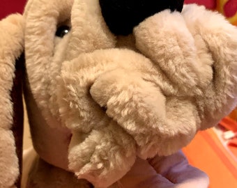 wrinkles dog teddy bear