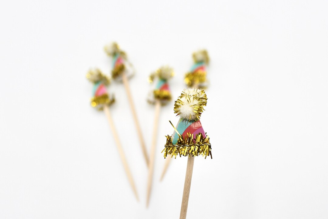 Party Time Party Hat Toothpicks Etsy España