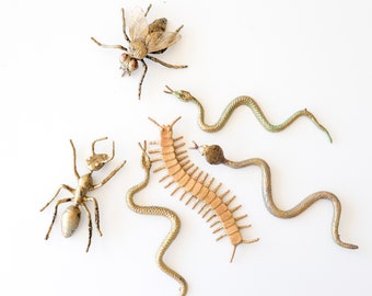 Halloween Creepy Crawlies