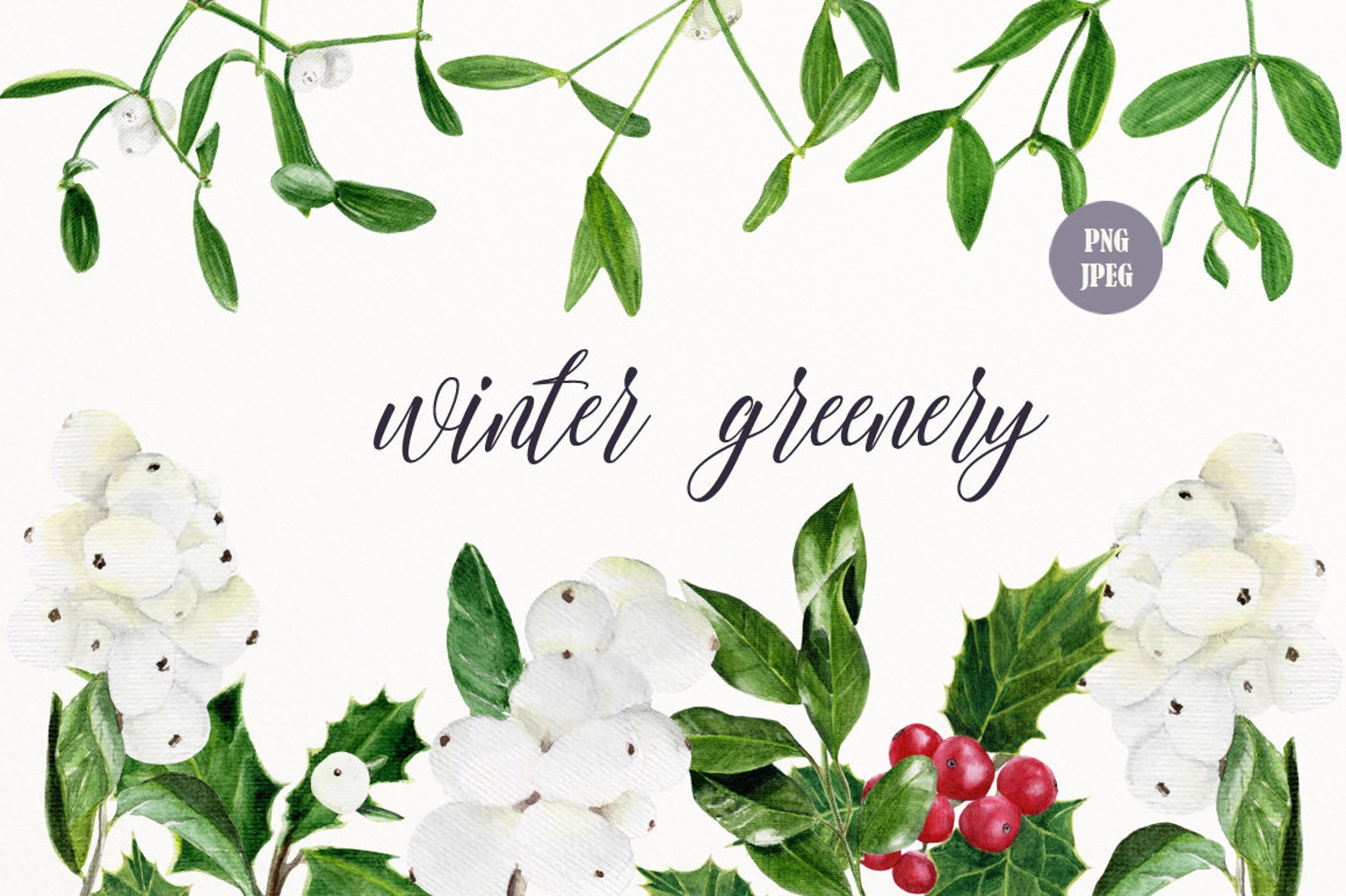 Winter greenery christmas clipart watercolor digital download | Etsy