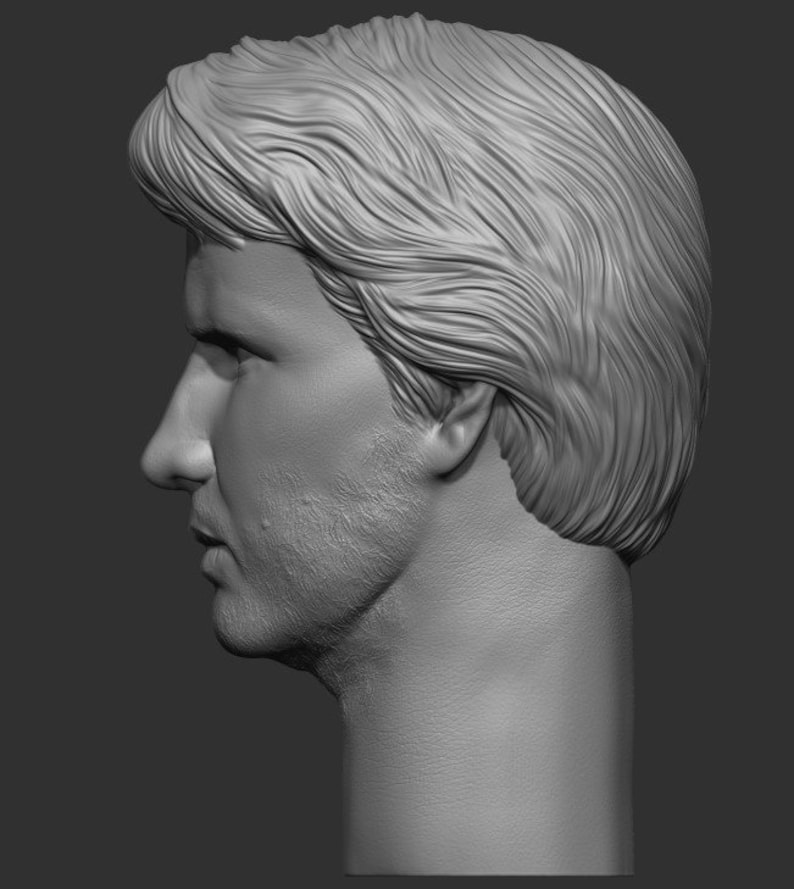 Christopher Lambert or Connor MacLeod head only sculpting 3D file. zdjęcie 6