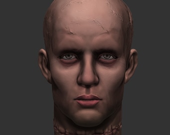 May include: A close-up of a sculpted human head with a stitched neck. The head is bald and has a realistic appearance with detailed features.