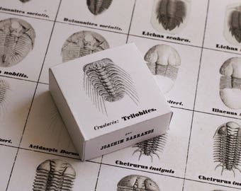 Memory game Systeme Silurien du Centre de la Boheme - vol. 1 - Trilobites - boxed version