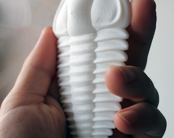 3D printed trilobite - Ellipsocephalus hoffi
