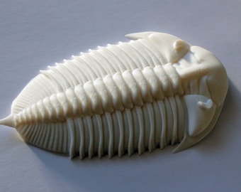 3D printed trilobite - Dalmanitina socialis