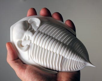 3D printed trilobite - Zlichovaspis/Odontochile