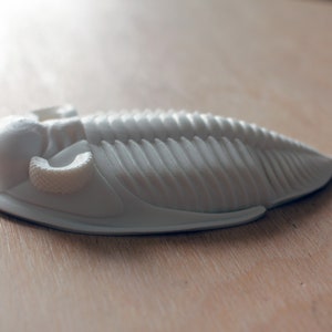 3D printed trilobite Zlichovaspis/Odontochile image 4