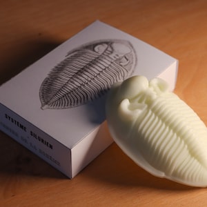 May include: A white, 3D printed trilobite fossil replica next to a box with a black and white illustration of a trilobite and the text "SYSTEME SILURIEN ORDOVICIEN DE LA BOHEME".