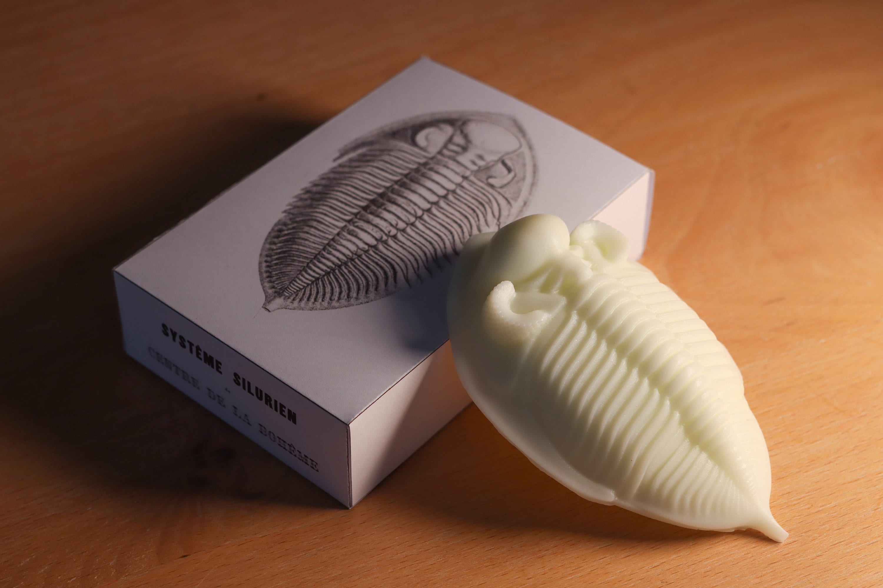 Fossil Trilobite soap - Zlichovaspis auriculata - paleontology lovers surprise gift - greeny white