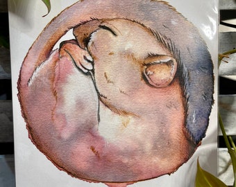 A5 Sleepy Dormouse Print