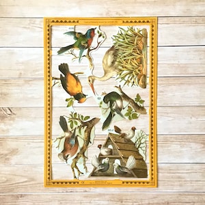Les oiseaux meurent feuille coupée, scrapbooking, journaling, planificateur, courrier d’escargot, penpals, embellissement de papier, collage, toppers de carte