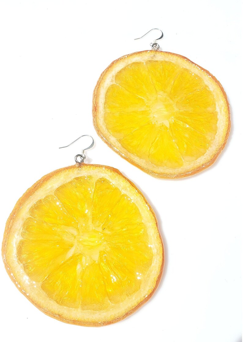 Orange Earrings L Slices of Citrus Dried Fruit Jewelry Etsy