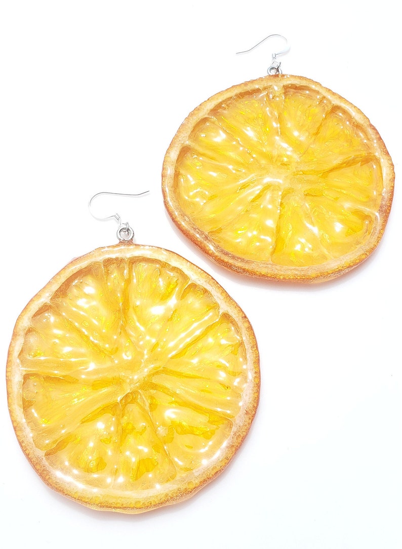Orange Earrings L Slices of Citrus Dried Fruit Jewelry Etsy