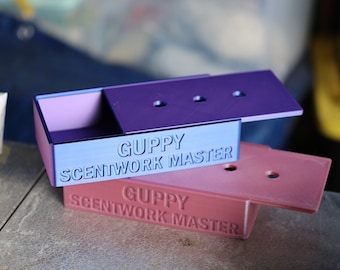 3D Printed Plastic Scent Work Slider Tin New Title Awards Trophies Master Detective Title Gift NACSW Nose Work Customized Custom Personalize