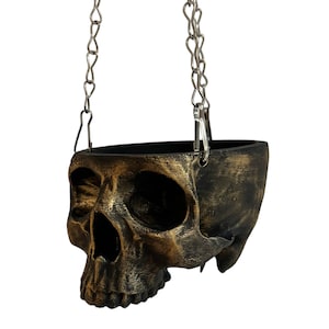 May include: A black and gold skull-shaped hanging planter with a metal chain.