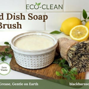 Solid Dish Soap Bar w/ Brush- Handmade Artisan Soap
