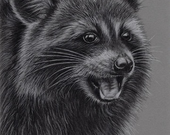 Original Artwork. Charcoal Drawing. Raccoon. Wildlife. Drawing. Charcoal. Sketch.