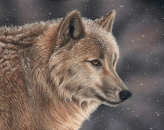 Original Pastel Artwork of a Wolf. 12" x 16". Wildlife Art. Original Art. Wolf Drawing.