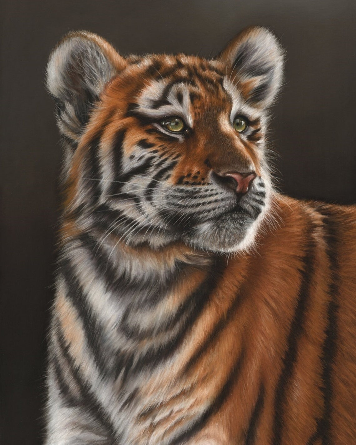Tiger Artwork Tiger Pastel Drawing Giclee Print Wildlife Art Fine Art Print by Artist Richard