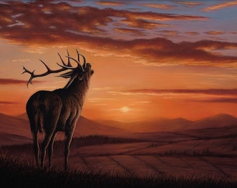 Original Pastel Artwork of a Red Deer. Wildlife Art. Original Art. Wildlife Room Wall Art. 12" x 16". Red Deer.