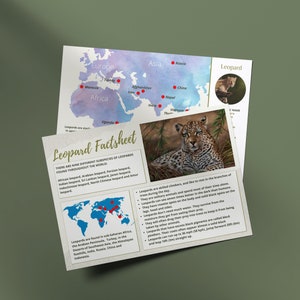 Luipaard-factsheet. Direct digitaal downloaden. Thuisschool afdrukbaar. Afdrukbare factsheets. Factsheets over dieren in het wild. Dierlijke Feiten. Infografiek.