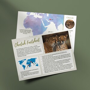 Cheetah-informatieblad. Direct digitaal downloaden. Thuisschool afdrukbaar. Afdrukbare factsheets. Factsheets over dieren in het wild. Dierlijke Feiten. Infografiek.