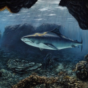 Original Pastel Artwork of a tiger shark. Ocean Art. Original Art. Wildlife Room Wall Art. Shark. 16&quot; x 12&quot;.