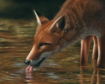 Original Pastel Artwork of a fox. Wall Art. Fine Art. Original Art. Fox. 15" x 11". Soft Pastel.