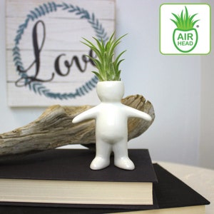 Boy Shaped Ceramic Air Plant Pot With or Without Plants - Tillandsia Indoor Live Air Plants, House Plants, Easy Case Plant Arrangement