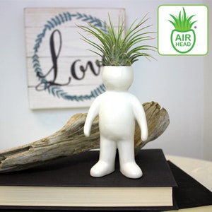 Man Shaped Ceramic Vase for Air Plants With or Without Plants - House Plant Ceramic, Live Tillandsia Air Plant, Ceramic Air Plant Pot