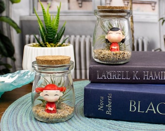 Mini Mixed Boy/Girl Air Plant Terrarium - Air Plant - Indoor Plant - Air Plant Arrangement - Small Plants - Plants for my Dorm - Plant Gift