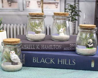Mini Air Plant Terrarium with Animal Accent Figurine - Animal Terrarium - Air Plant Arrangement - Small Terrarium for Indoor - Indoor Plants