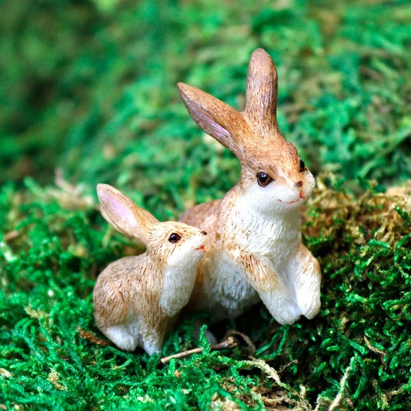 Bunny Mom and Baby | Little Kim World Fairy Garden | Tiny Fairy Sets | Miniatures for Yard, Flower Bed, Planter, Terrarium