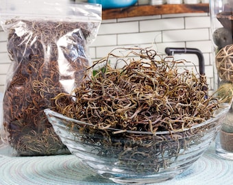 Latté Color Spanish Moss, Natural Preserved Moss, Indoor or Outdoor Moss for Plants and Decor, Plant Vase Filler, Arts & Crafts Supply