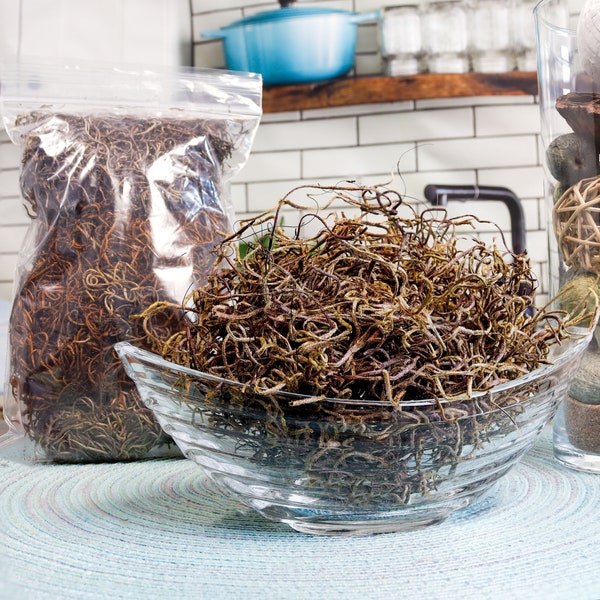 Latté Color Spanish Moss, Natural Preserved Moss, Indoor or Outdoor Moss for Plants and Decor, Plant Vase Filler, Arts & Crafts Supply