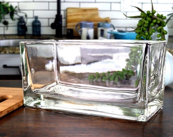 Rectangular Glass Vase | Thick, High-Quality Decorative Planter for Tillandsia Air Plants, Succulents, Water Plants, Fairy Garden and More