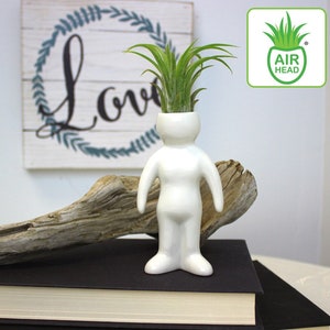 May include: White ceramic planter shaped like a person with a green air plant growing out of the top of its head. The planter is sitting on a stack of books and a piece of driftwood. The text "AIR HEAD" is visible on a green logo in the upper right corner of the image.