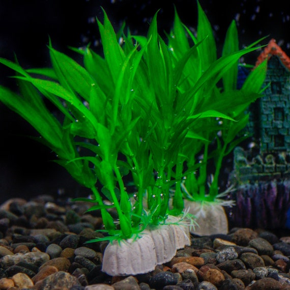 Set of 10 Plastic Aquarium Grass Plants Faux Grass Fish Hideaway