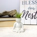 Meditating 'Air Head' White Ceramic Pot Air Plant Holder Planter Complete Kit With Live Air Plant 